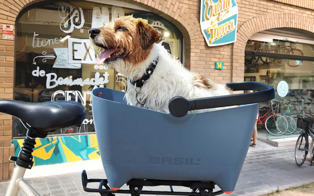 Guía de cestas para llevar a tu perro en bici