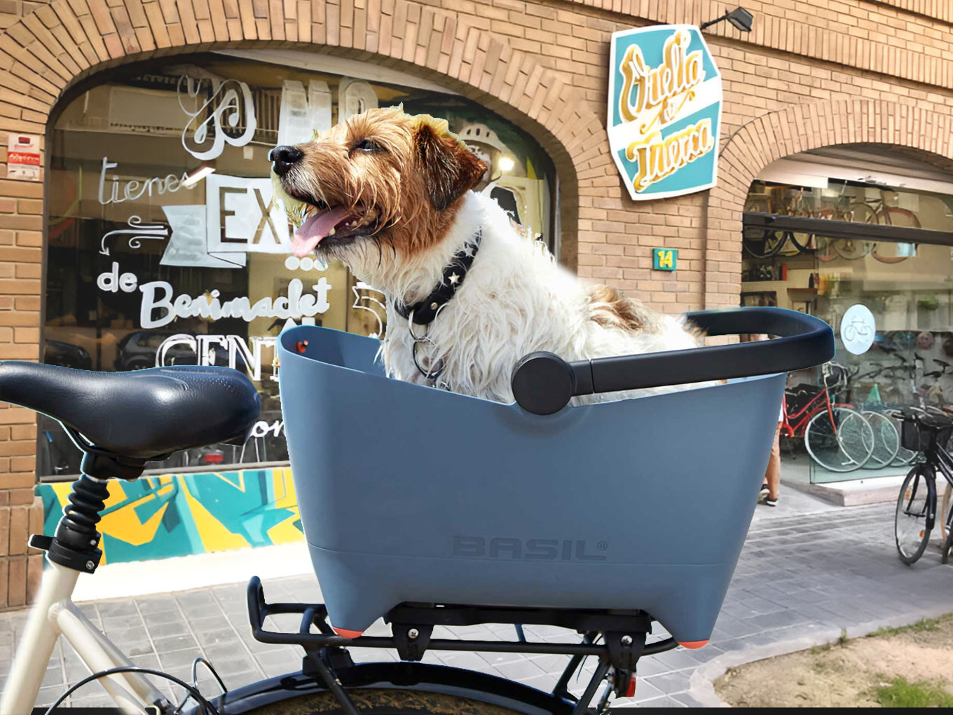 Cesta-de-perro-para-bicis-Vuelta-de-Tuerca-BLOG Como llevar a tu perro en bici