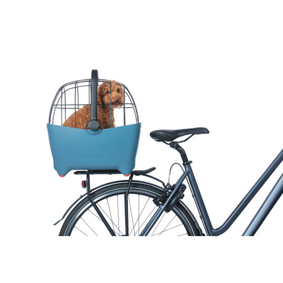 Cesta trasera BASIL para perro «BUDDY» MIK, 32L, azul - Imagen 2